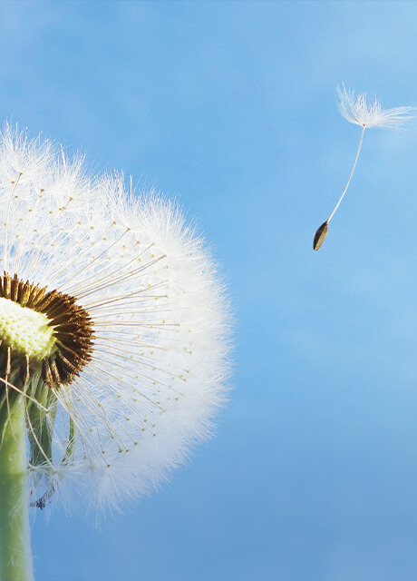 我们的产品品质